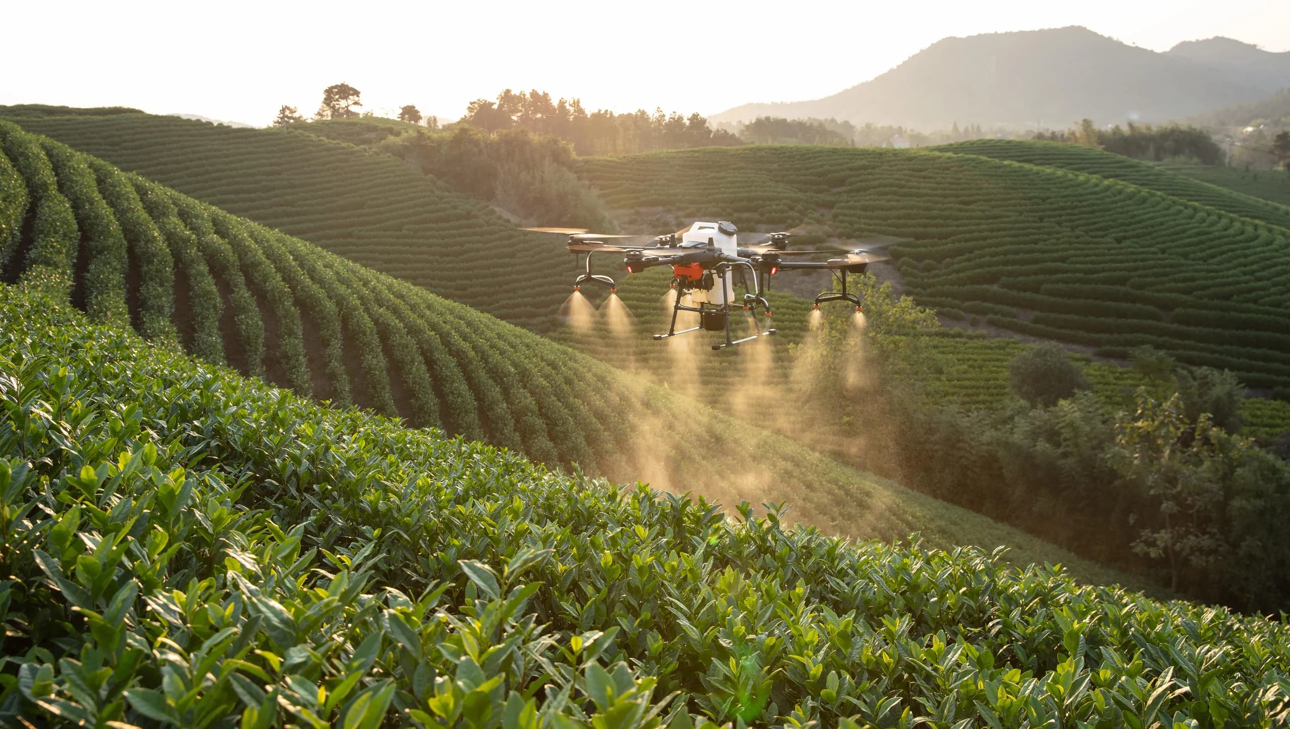 Agriculture UAV Drones
