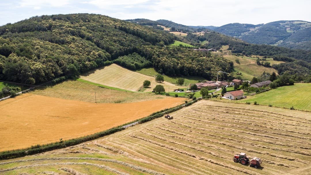 Agriculture UAV platform supporting precision spraying and commercial farm operations.
